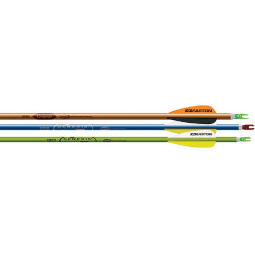 EASTON GENESIS 1820 V2 SHAFTS 1 DOZEN BLUE